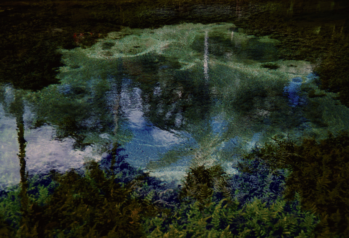 Black Lake by Tim Yip