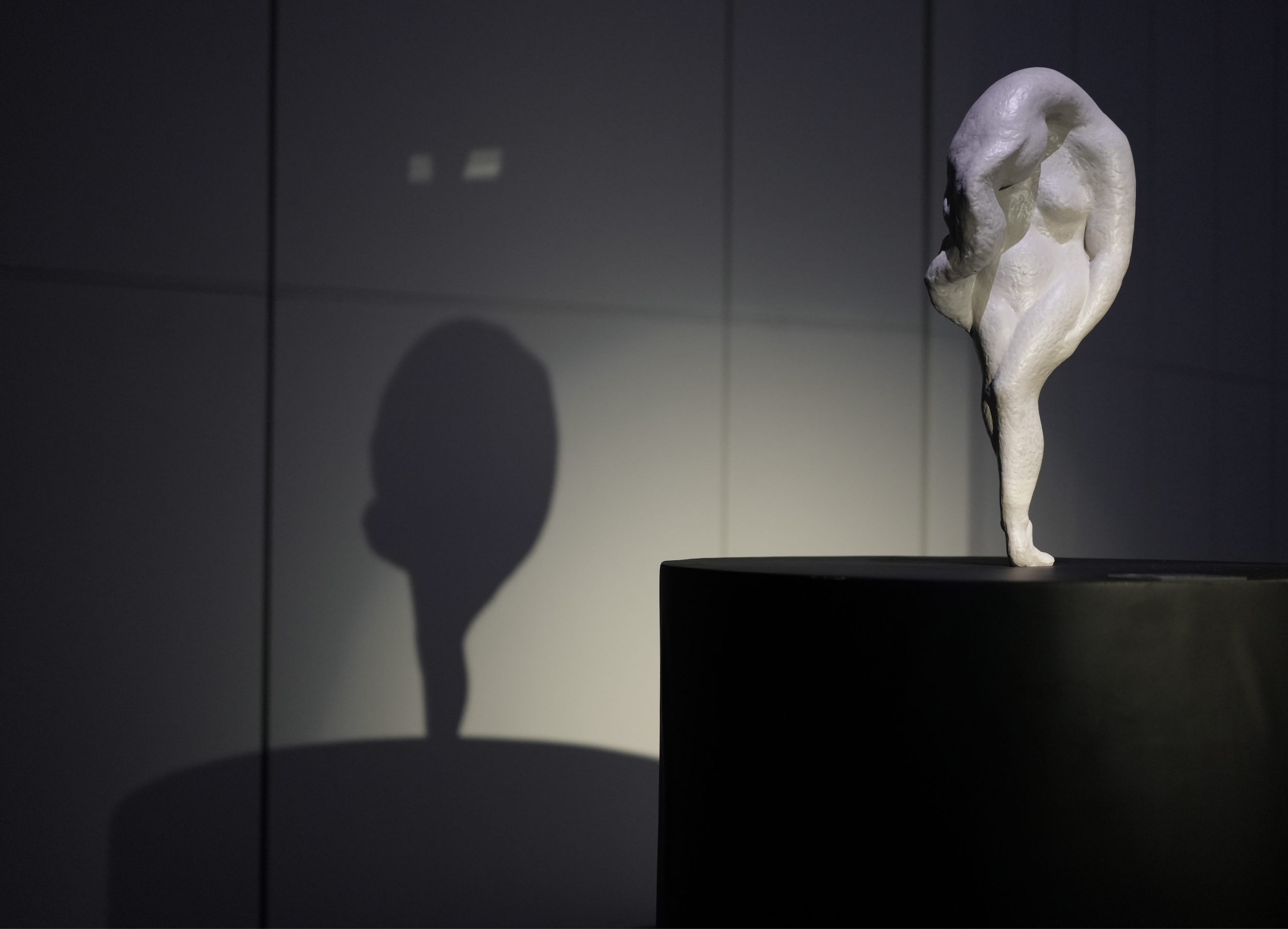 Sculptures - MIRROR OF THE META: Incredible Reality