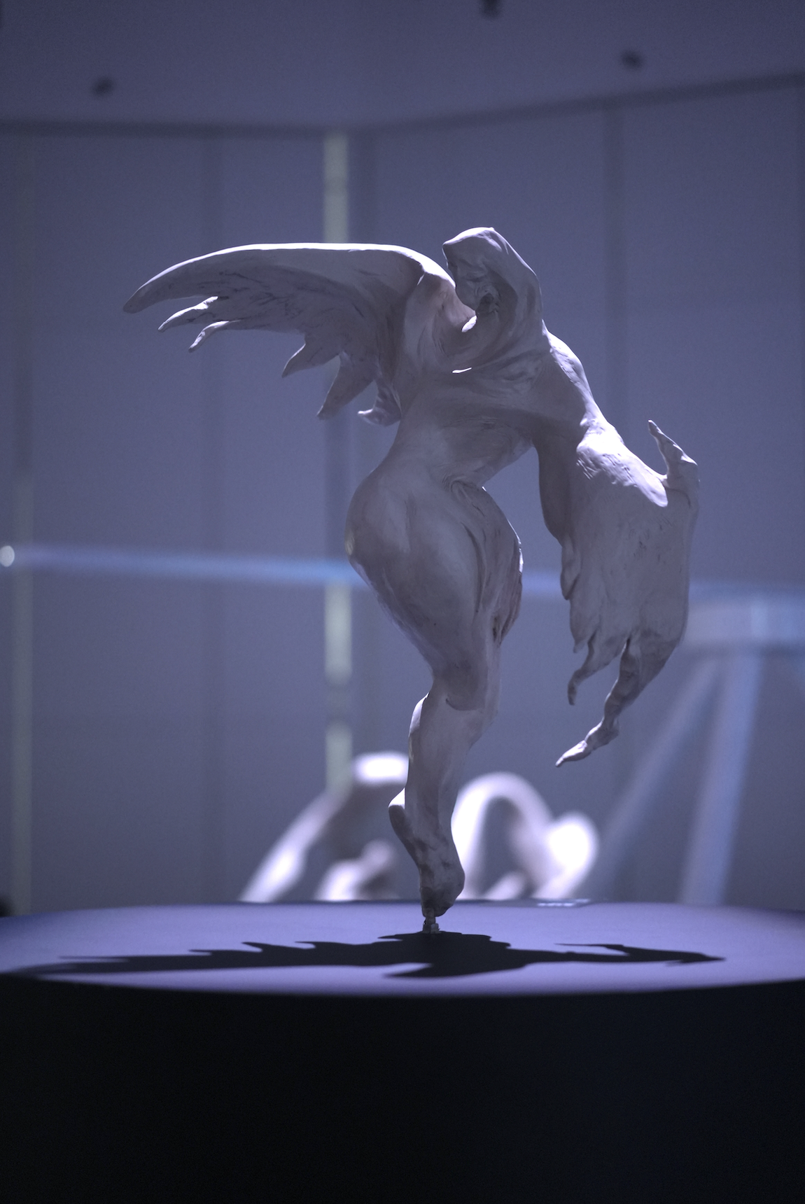 Icarus by Tim Yip