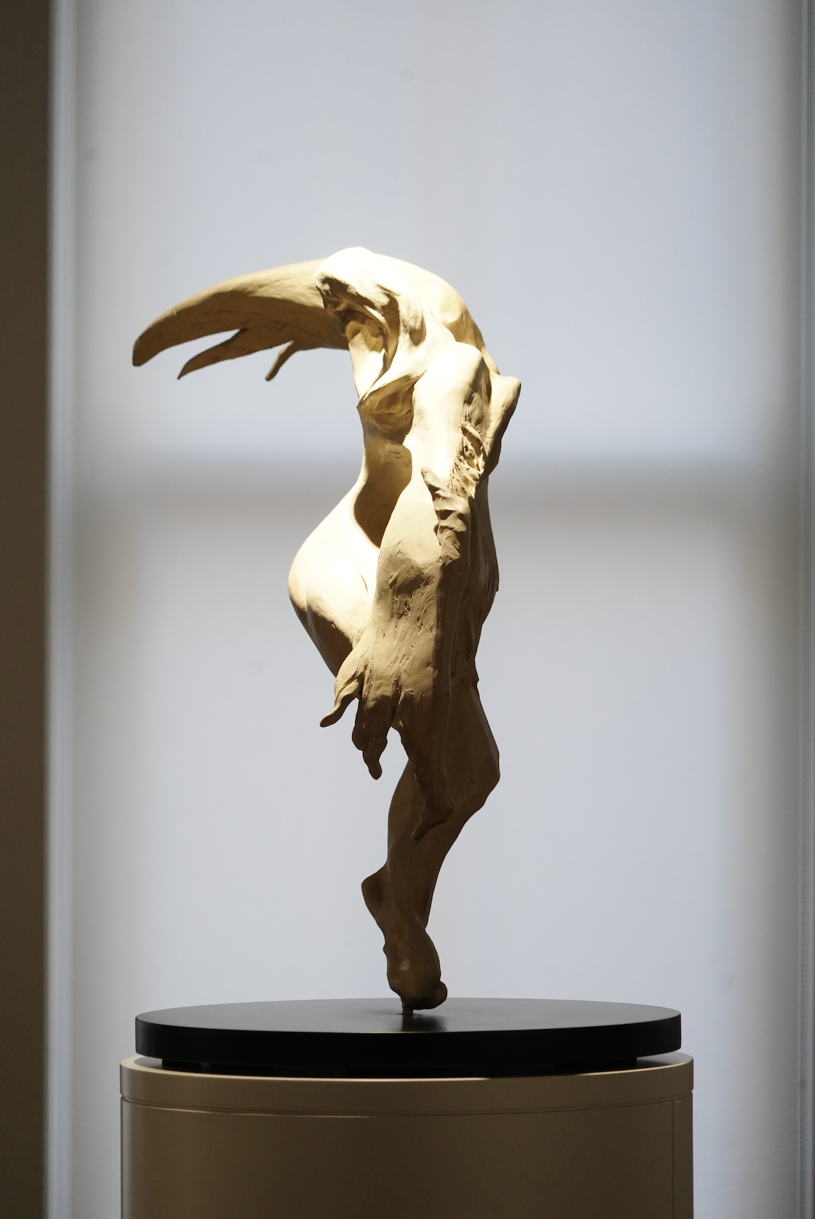 Icarus by Tim Yip